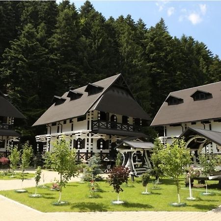 Complex Lions Bucovina Hotel Voroneț Eksteriør billede