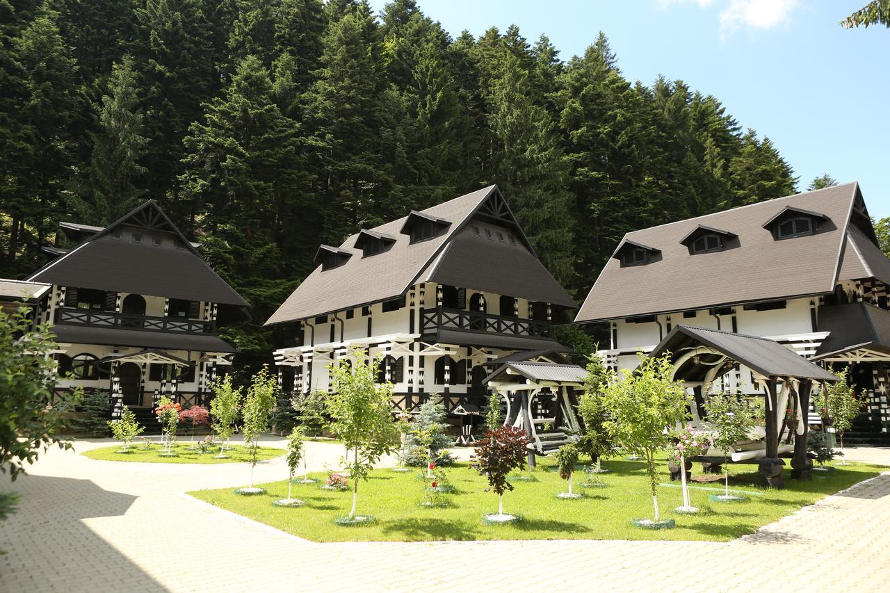 Complex Lions Bucovina Hotel Voroneț Eksteriør billede