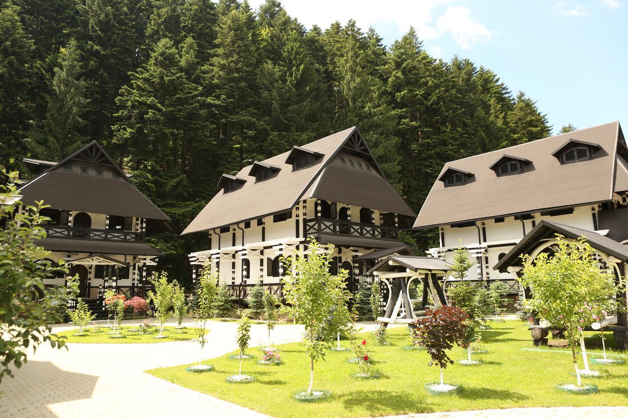 Complex Lions Bucovina Hotel Voroneț Eksteriør billede