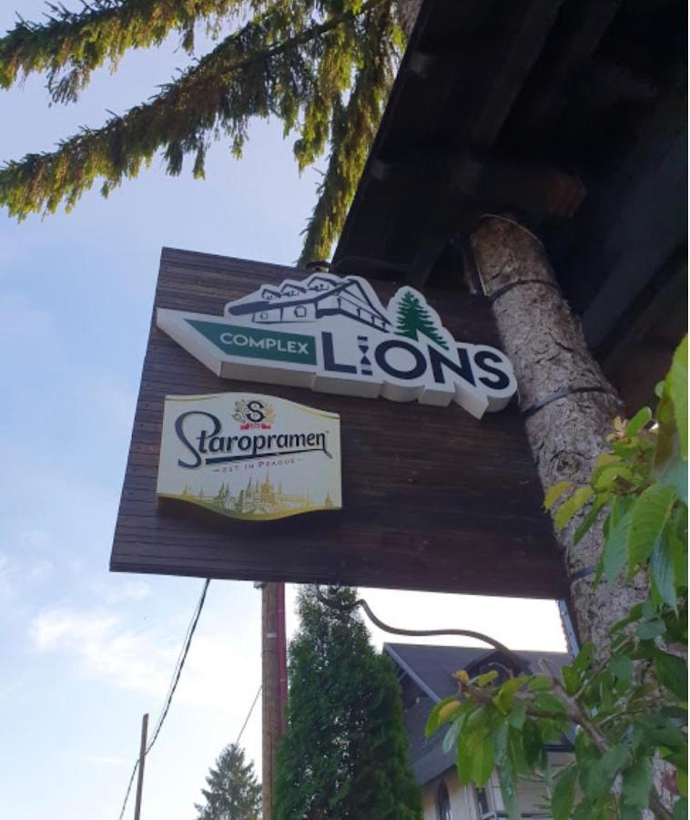 Complex Lions Bucovina Hotel Voroneț Eksteriør billede