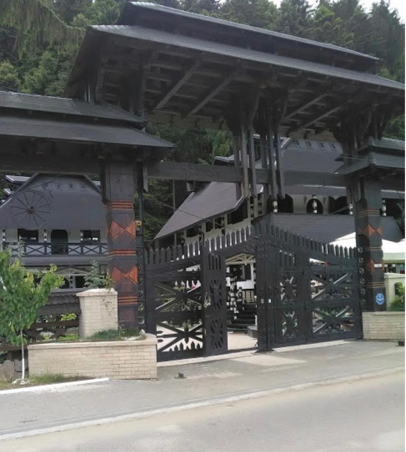 Complex Lions Bucovina Hotel Voroneț Eksteriør billede