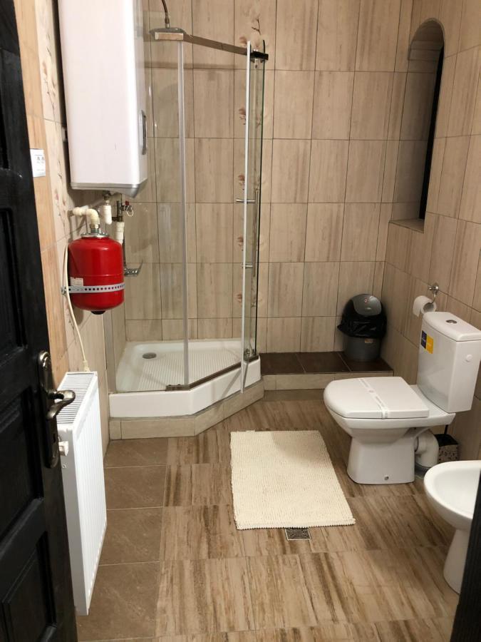 Complex Lions Bucovina Hotel Voroneț Eksteriør billede