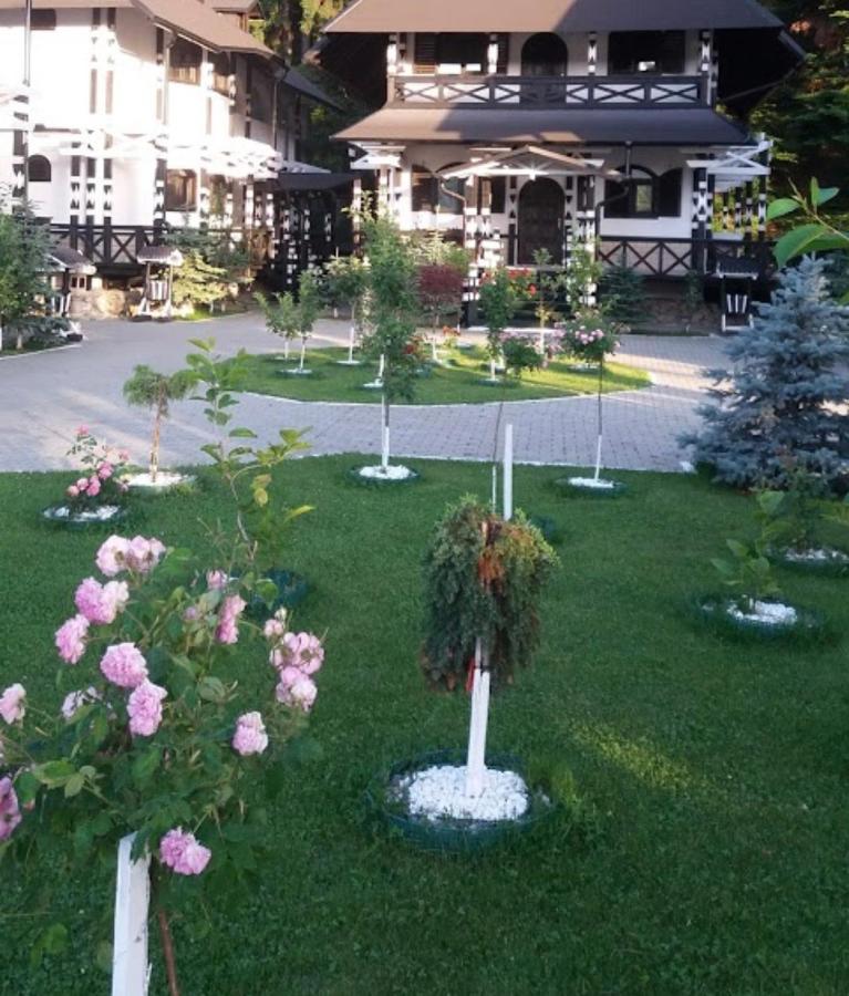 Complex Lions Bucovina Hotel Voroneț Eksteriør billede